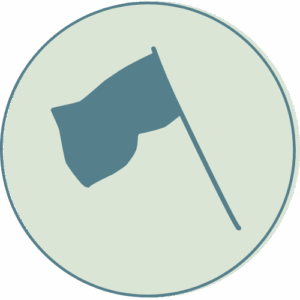 flag icon